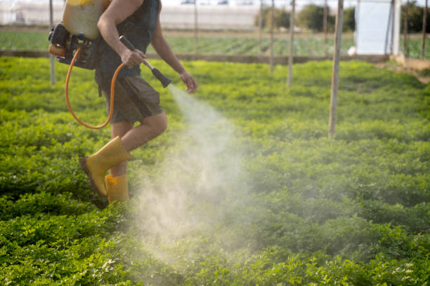 Best Wasp Removal Services  in Ke Arthur, LA
