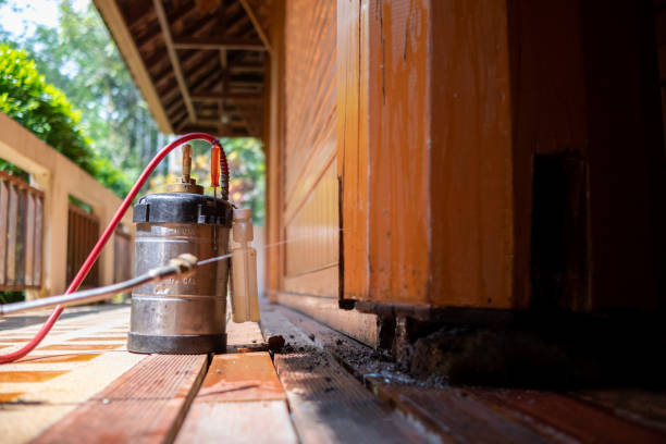 Best Best Pest Control Companies  in Ke Arthur, LA
