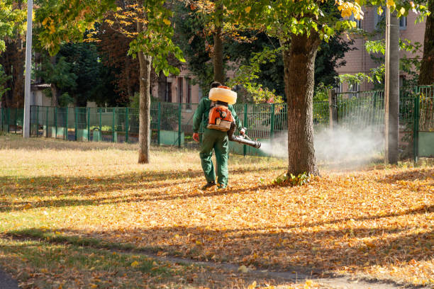 Best Pest Control for Restaurants  in Ke Arthur, LA