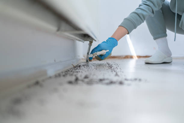 Best Pest Inspection Near Me  in Ke Arthur, LA
